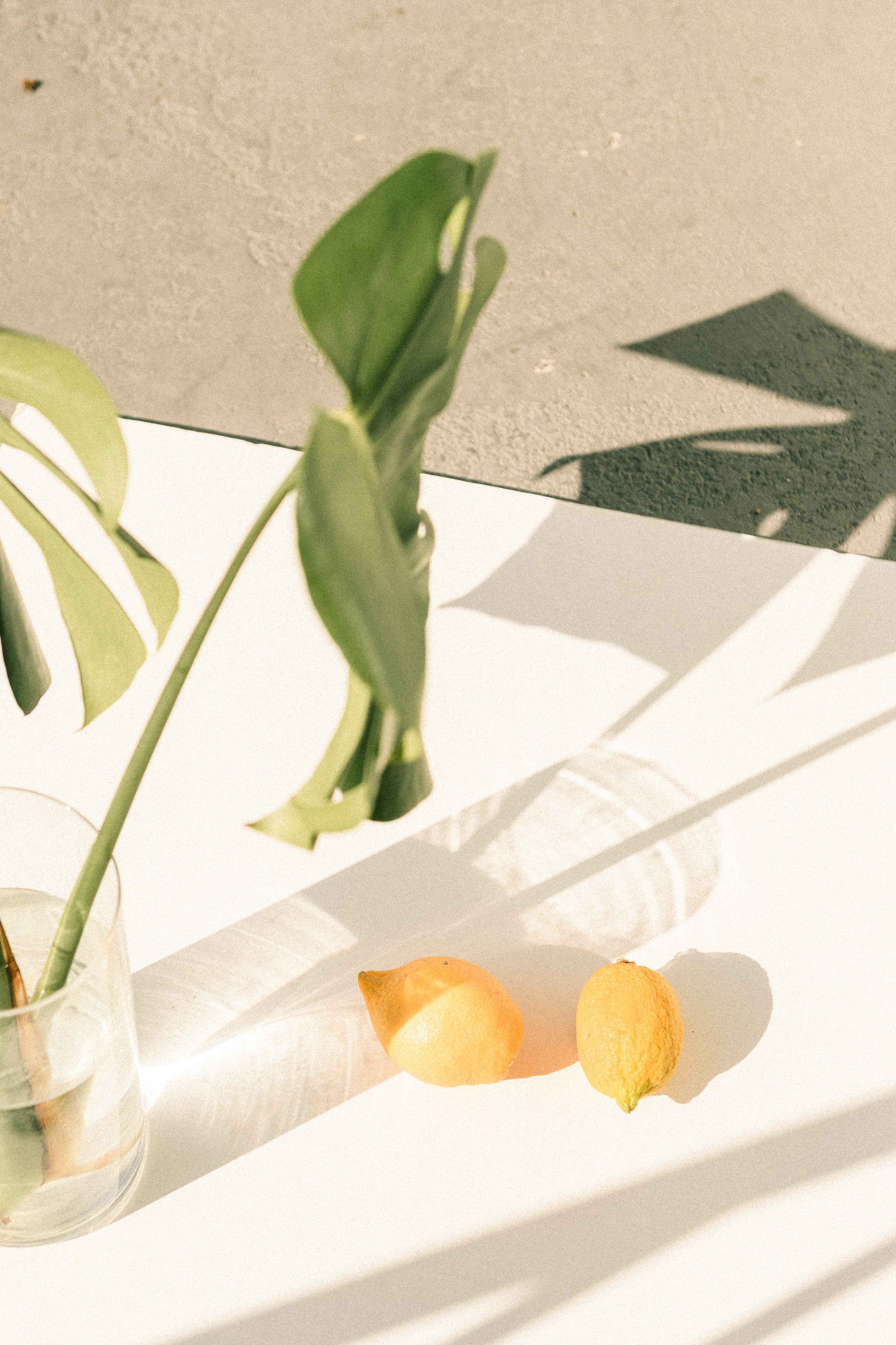 Lemons on a table
